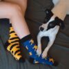 Sammy Icon Mullen skate socks