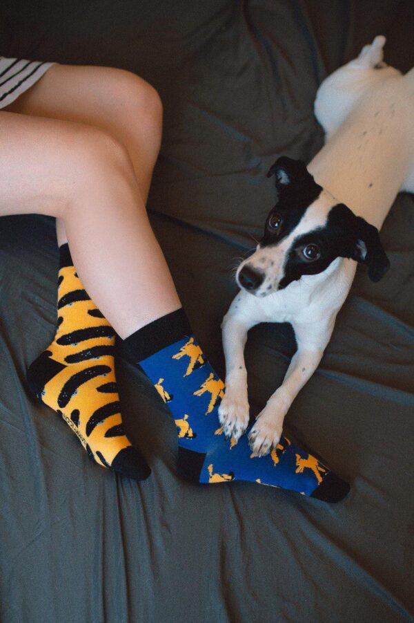 Sammy Icon Mullen skate socks