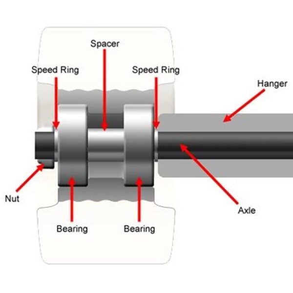 Boardlife speedrings/washers position