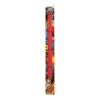 Santa Cruz skateboard rails rib bones