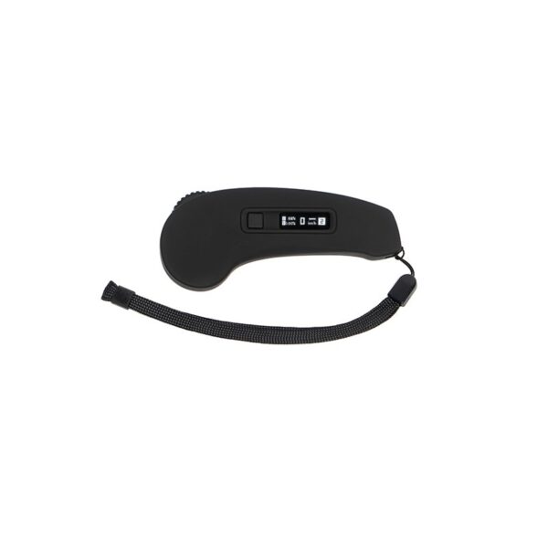 Exway R1 Remote