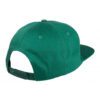 Santa Cruz Cap Classic Dot snapback Evergreen back