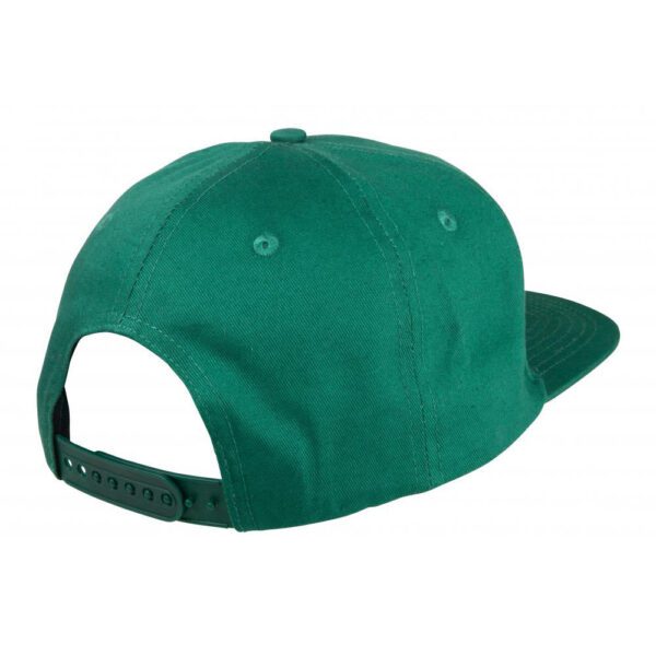 Santa Cruz Cap Classic Dot snapback Evergreen back